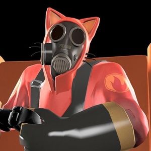 Meet your Posher, Kylie